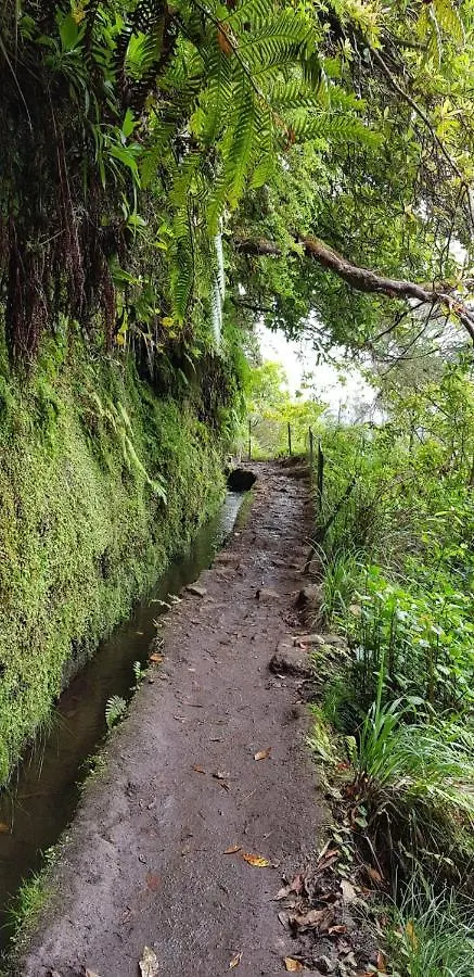 桑塔纳Casa Da Tia Clementina别墅 0*, 桑塔纳 葡萄牙